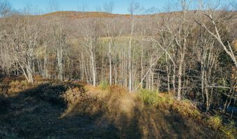 1361 Weaver Hollow Rd, Andes, NY 13731