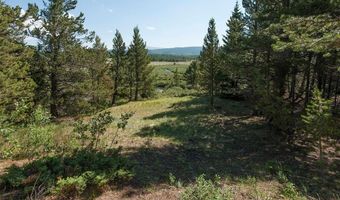 268 HIGH RIVER Ct, Alma, CO 80420