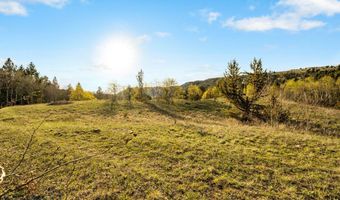 1470 Lime Spur Rd & 44 Two Meadows Dr, Anaconda, MT 59711