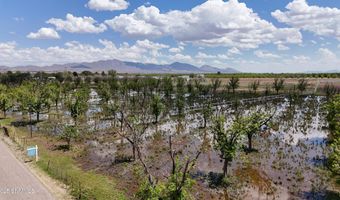 563 Aldaz Rd, Anthony, NM 88021