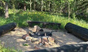 84 County Road 113 S, Allenspark, CO 80510