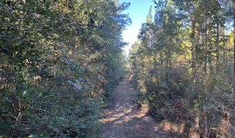 259 Forest Lake Rd, Beaumont, MS 39423