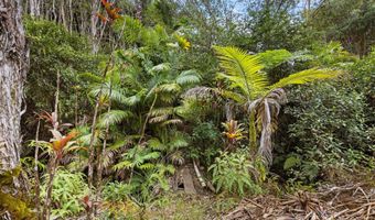 29-2828 KAIWIKI HOMESTEAD Rd, Hakalau, HI 96710
