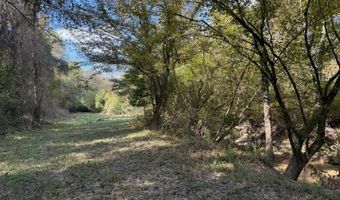 971 Somerset Rd SE, Bogue Chitto, MS 39629