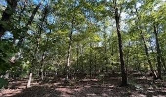 County Road 118, Annapolis, MO 63620