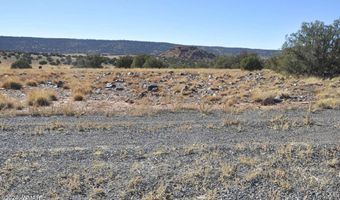 29 A N8478, Concho, AZ 85924