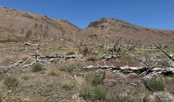 Hwy 395 unit 1 1, Gardnerville, NV 89410