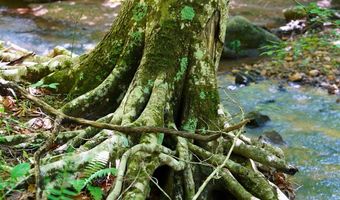 Airport Rd lot 0, Bassett, VA 24055