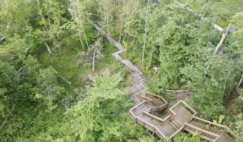 3206 Hidden Ridge Rd, Alanson, MI 49706