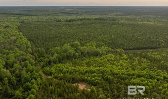 Flowers Road, Bay Minette, AL 36507