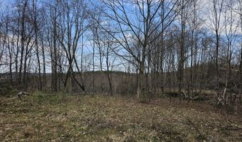 295 Shellstone Rd, Amsterdam, NY 12010