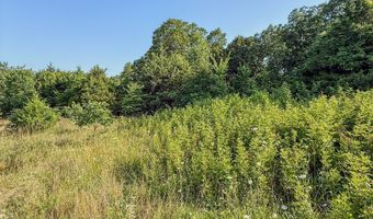 Co Rd 539, Ava, MO 65629