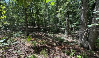 Spilsby LN, Bella Vista, AR 72714