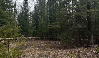 6002 Wildwood, Alger, MI 48610