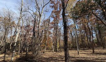 Parcel F DULWICH DR Parcel F, Amherst, VA 24521