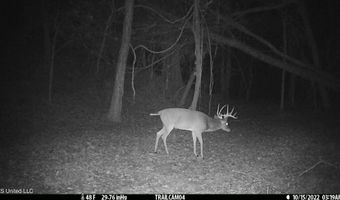 2233 Holloman Rd, Bentonia, MS 39040