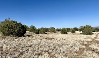 W Rawhide Ranch Road lot 46, Ash Fork, AZ 86320