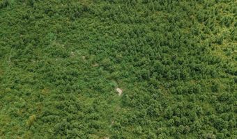 Copeland Ridge Road, Arkadelphia, AR 71923
