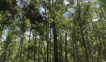 County Road 244 Tract A, Abbeville, MS 38601
