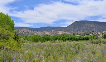 Lots 1 & 2 off of CR-162, Abiquiu, NM 87510