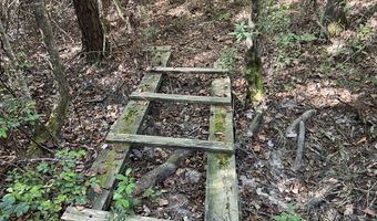 259 Forest Lake Rd, Beaumont, MS 39423