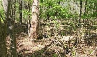 1642 R2 Kersey Valley Rd, Archdale, NC 27265