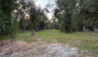SE TOWNSEND AVENUE, Arcadia, FL 34266