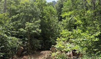 Shanty Springs Road lot 15, Banner Elk, NC 28604