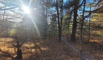 1091 Plum Valley Rd NW, Alden, MI 49612