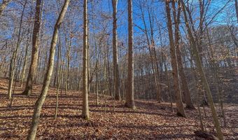 33056 Weaver Church Rd, Albany, OH 45710