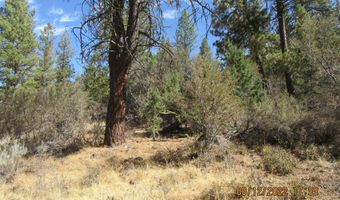 Brown Bear Lane lot 12W2, Bonanza, OR 97623