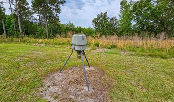 2986 Old Buckhead Rd, Branchville, SC 29432