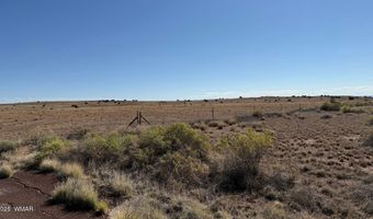 US Highway 180 lot 9C, Concho, AZ 85924