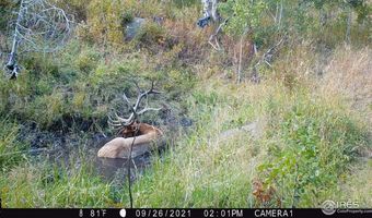 Old Flowers Rd, Bellvue, CO 80512