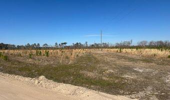 2000-4 Sellers Rd NW, Baxley, GA 31513