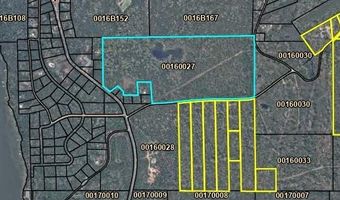 93 Acres Dell Rd, Bainbridge, GA 39819