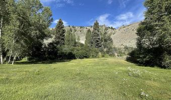 209 Deer Path Ln, Almont, CO 81230