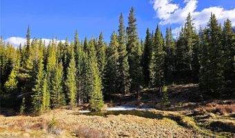 PCS # 7765 & 12057 Rollies Trail lot 0, Alma, CO 80420