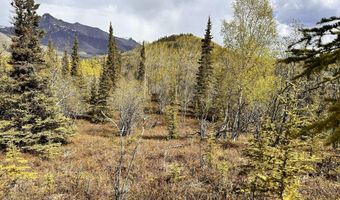 B005 Packsaddle Road, Chickaloon, AK 99674