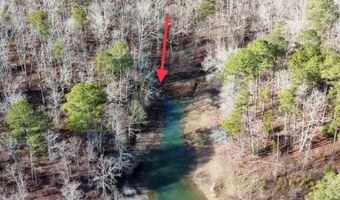 LOT 36 STONEY POINT, Double Springs, AL 35553