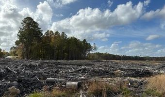 Ahoskie Cofield Road, Ahoskie, NC 27910
