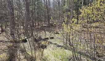 L45 Jacobs Ladder Road, Becket, MA 01223
