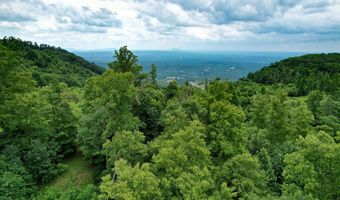 Pheasant Chase lot 3812 81 T, Ararat, VA 24053
