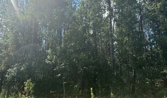 0 Dubberly Rd, Baxley, GA 31513