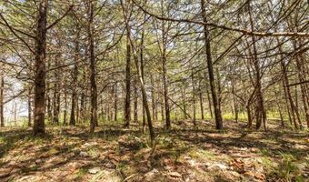 Tbd 194th Avenue, Argyle, IA 52619