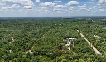 SW Nassau Ave, Arcadia, FL 34266