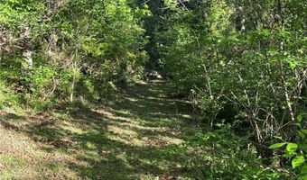 15 Woodchuck Cv, Alexander, NC 28701