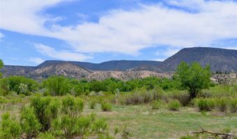 Lots 1 & 2 off of CR-162, Abiquiu, NM 87510