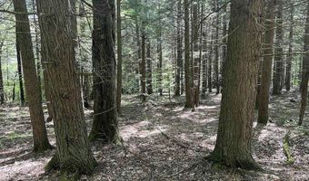 360 Ives Hill Rd, Afton, NY 13730