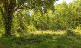 Beech Bluff Road, Beech Bluff, TN 38313